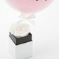 Royal Box / Mini / Cotton Candy