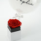 Royal Box / Mini / Dove