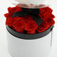 Royal Box / Classic / Scarlet