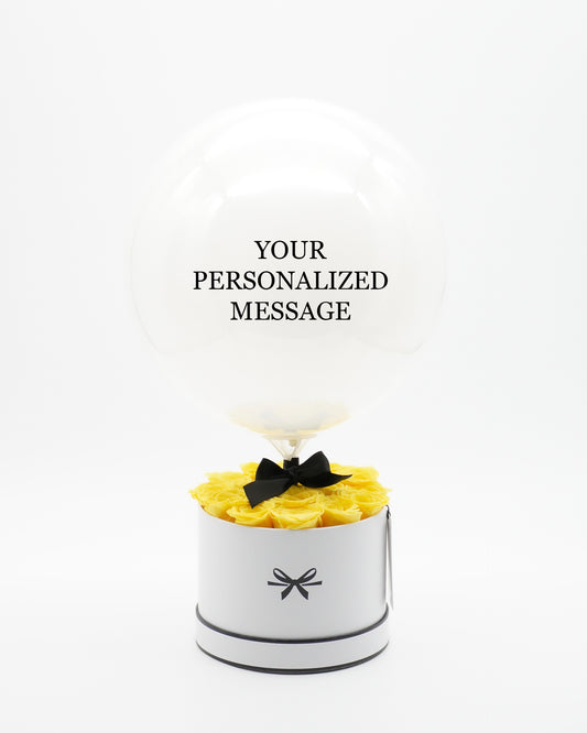 Royal Box / Modern / Sunny