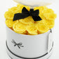 Royal Box / Modern / Sunny