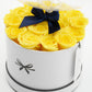 Royal Box / Classic / Oski