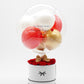 Royal Box / Classic / Amore